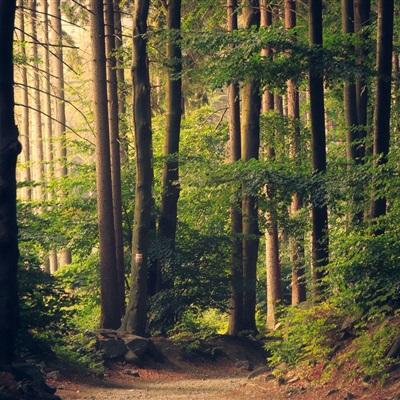 大发黄金版888下载app下载