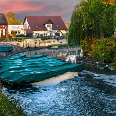 凤凰彩票app手机app下载